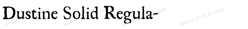 Dustine Solid Regula字体转换